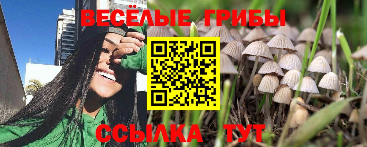 Галлюциногенные грибы прущие грибы  Вход с VPN  Астрахань 