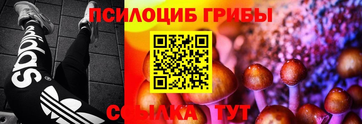 Бошки Шишки Астрахань